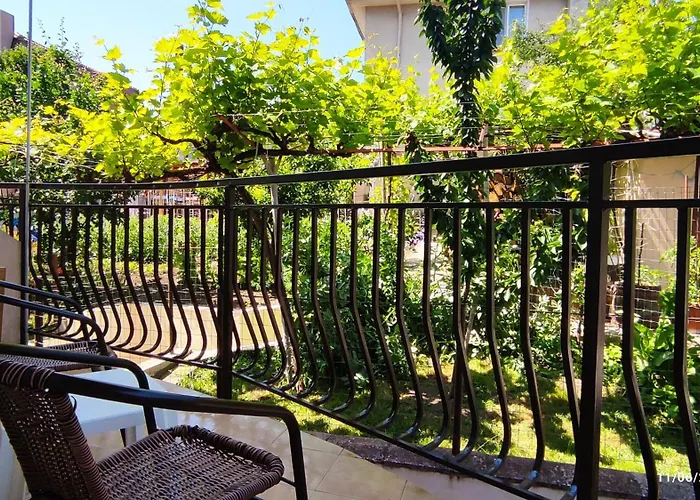 Marina Guest house 3*